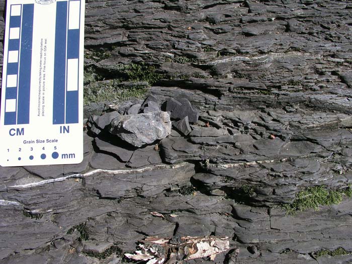P1010017