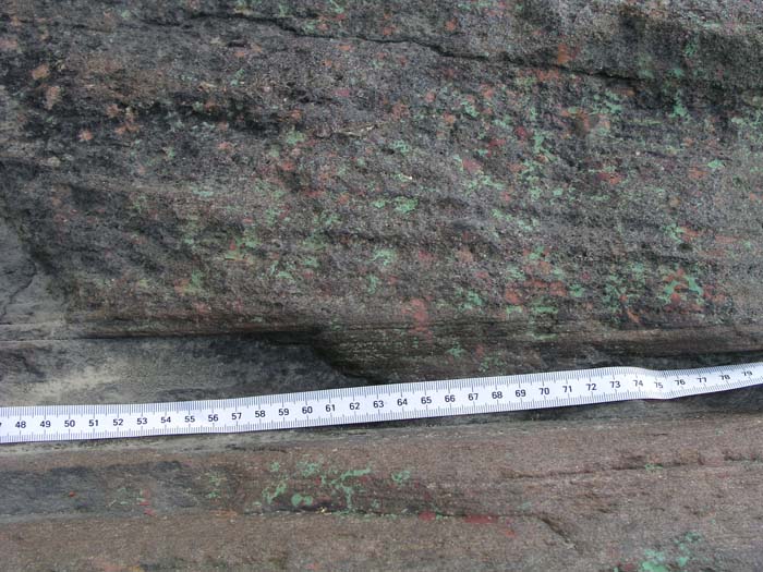 P1010015