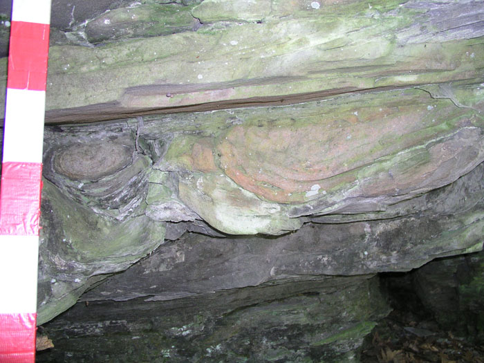 P1010005