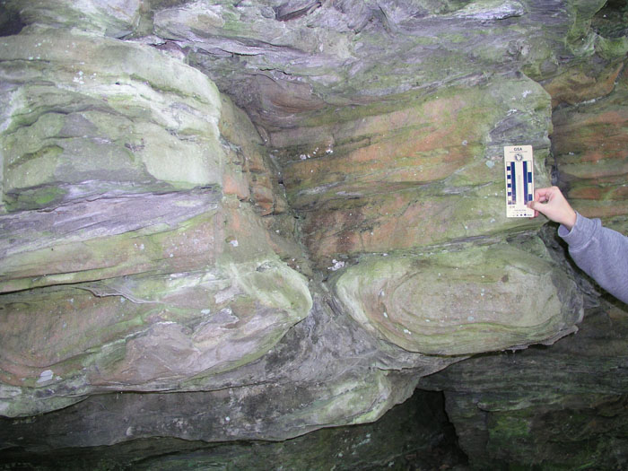 P1010007