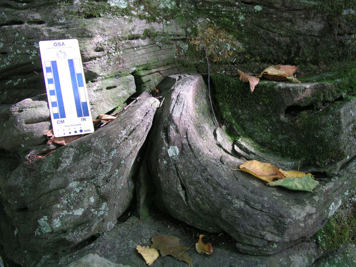 P1010042