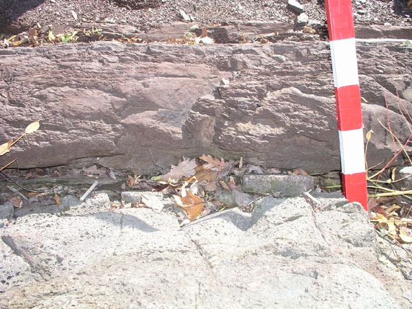 P1010005