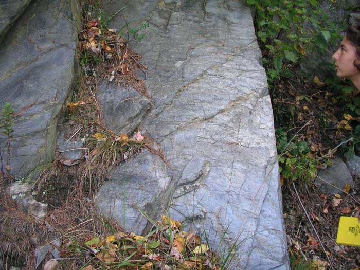 P1010003