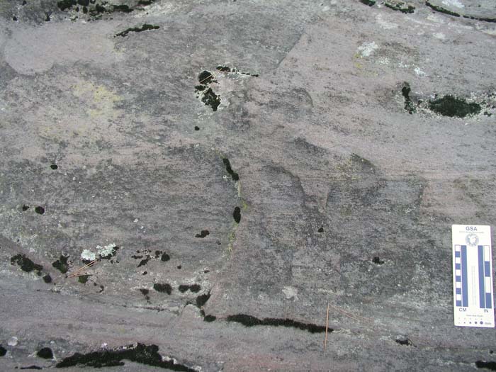 P1010031
