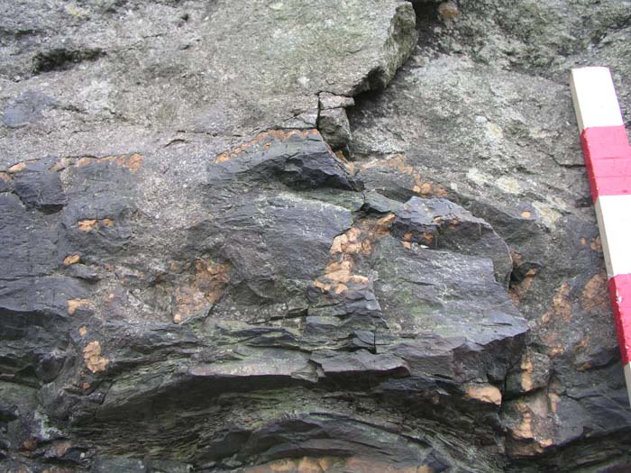 P1010037
