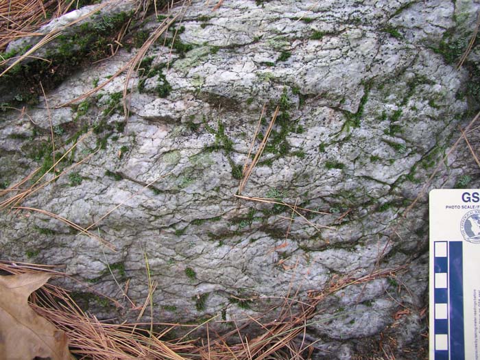 P1010002