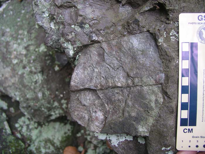 P1010012