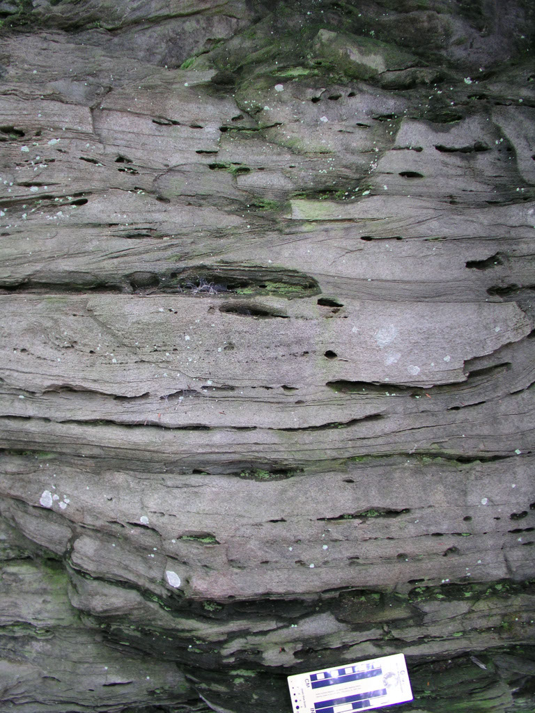 P1010029