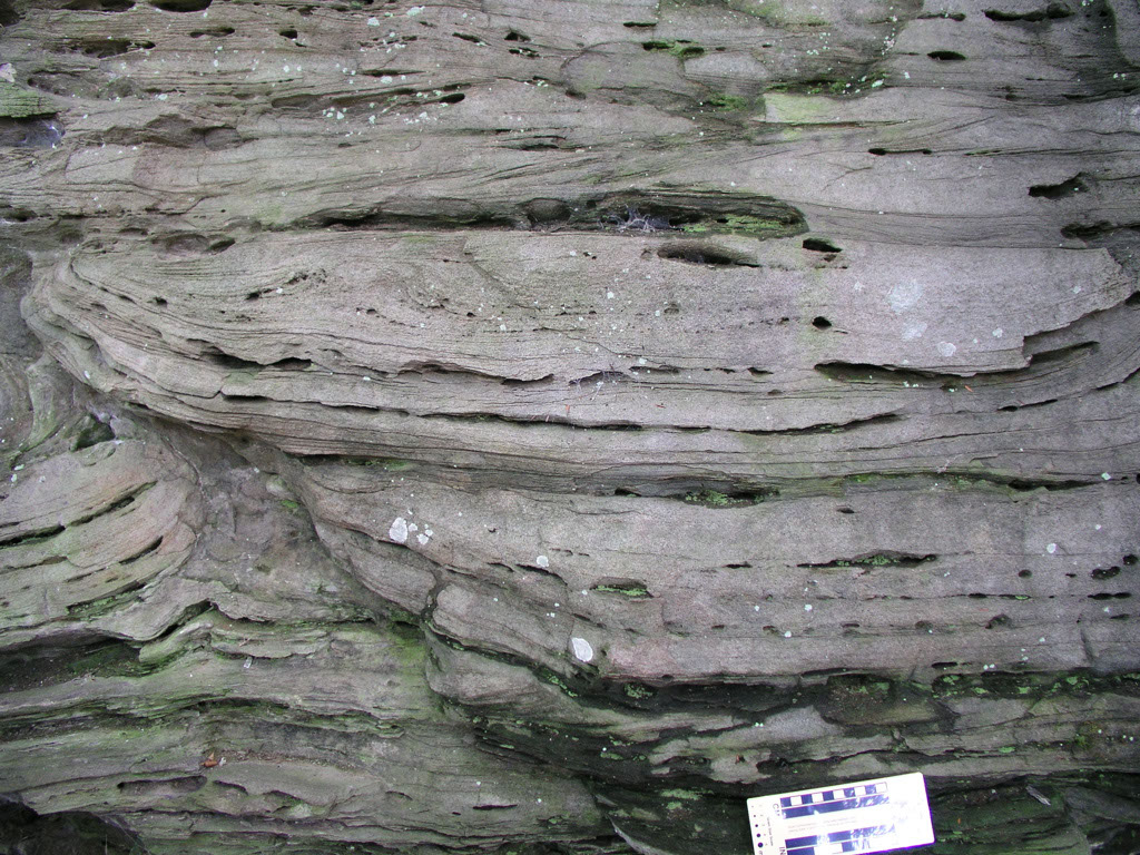 P1010030