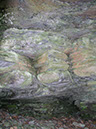 P1010005