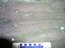 P1010027