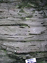 P1010029