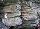 P1010031