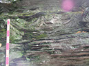 P1010035
