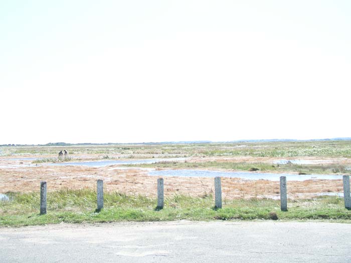 P1010017