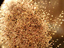 091909_pl_is_garnet