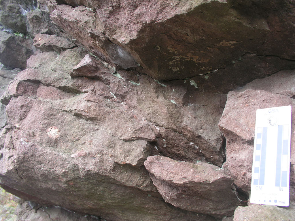 P1010079