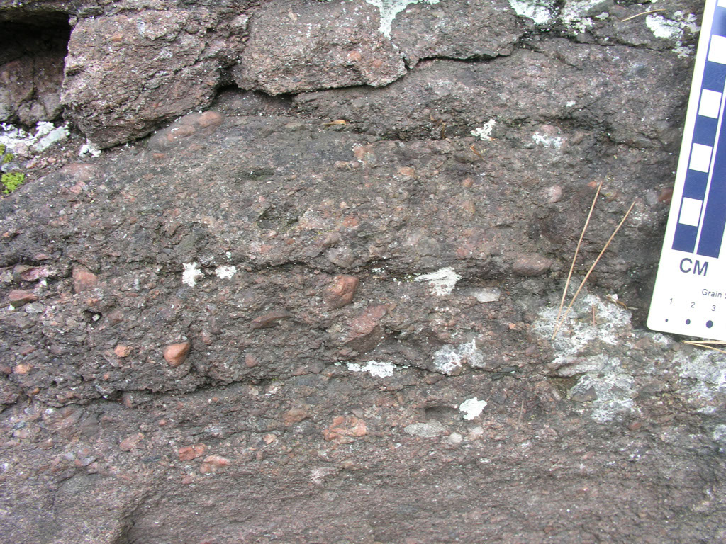 P1010082
