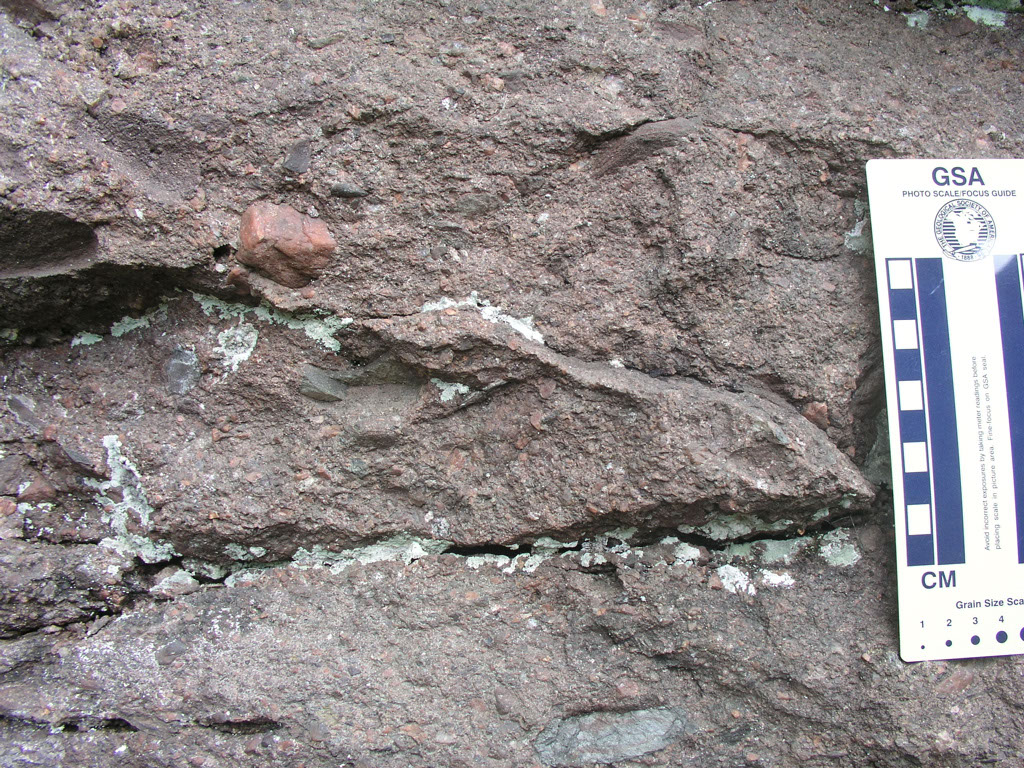 P1010083