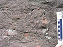 P1010081