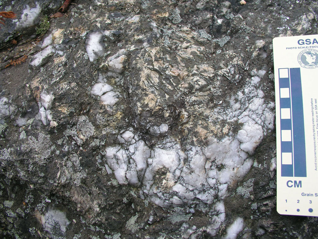 P1010001