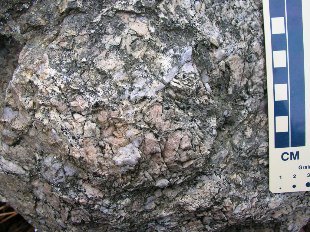 P1010002