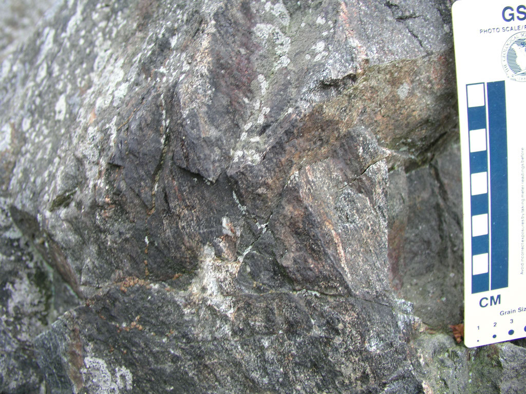 P1010004