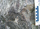 P1010004