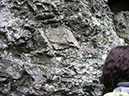 P1010006