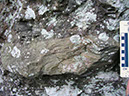 P1010015