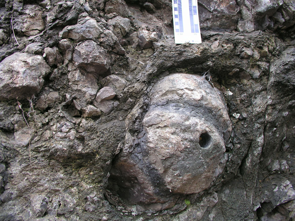 P1010008
