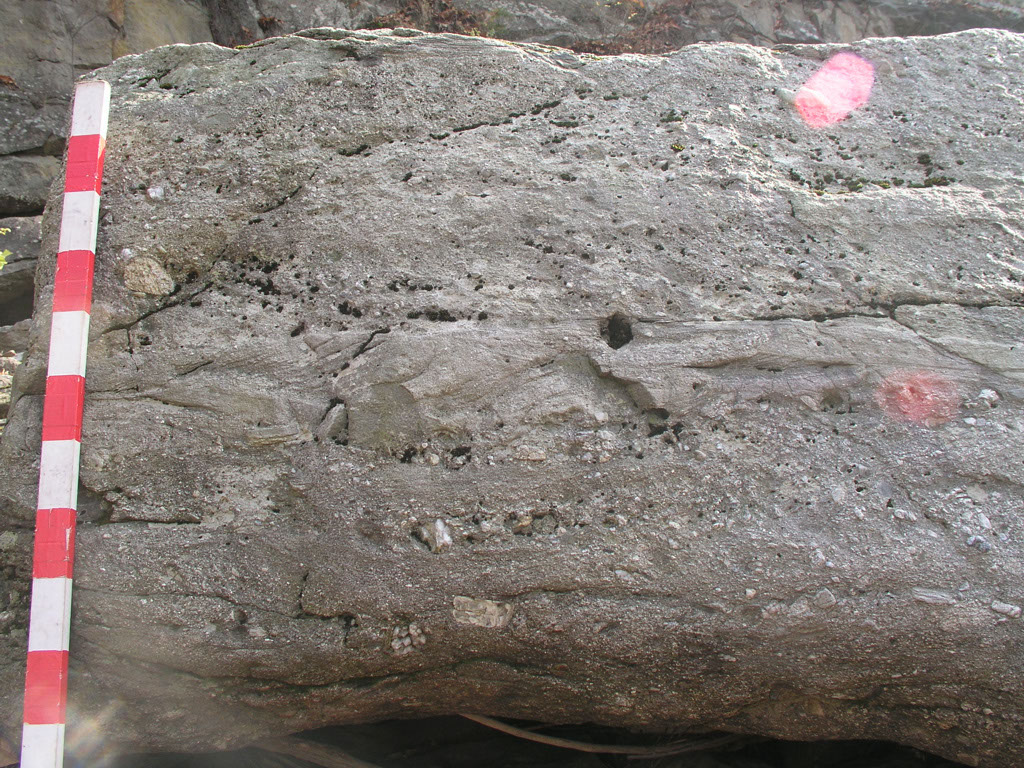 P1010036