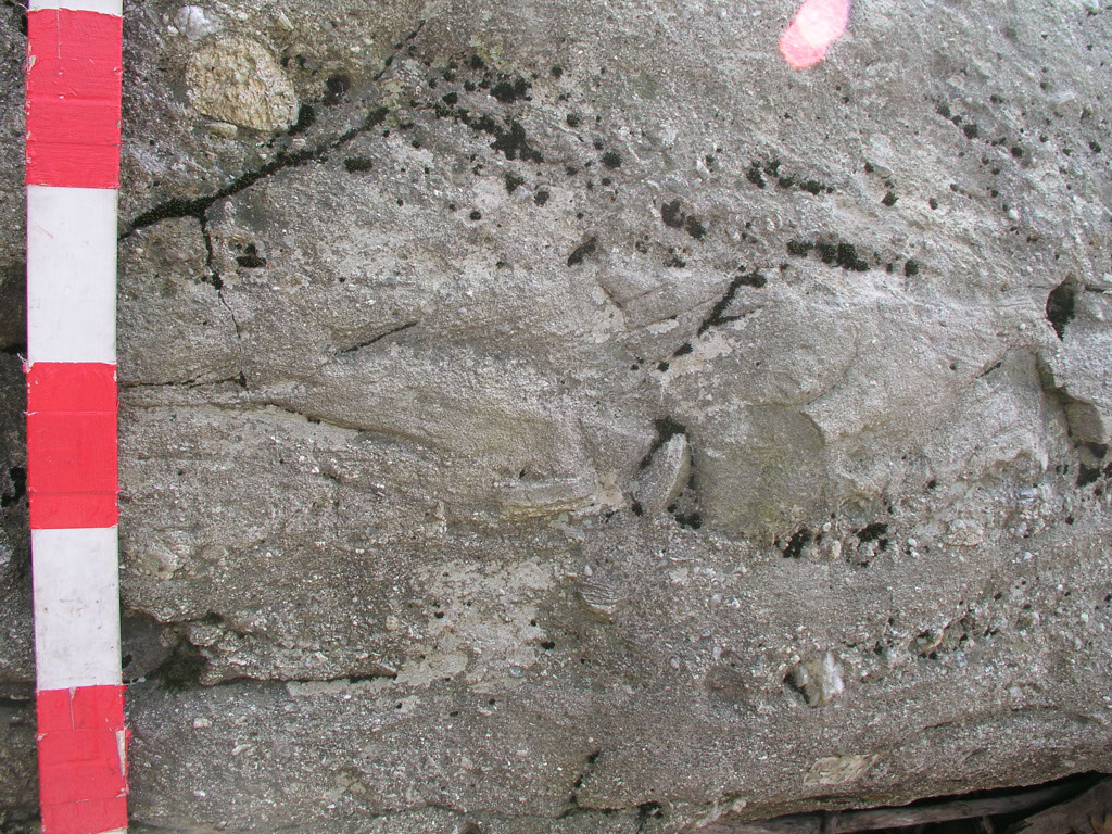 P1010037