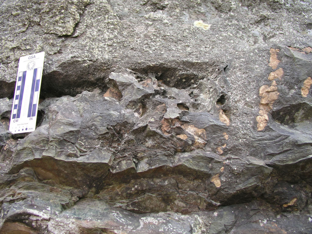 P1010040