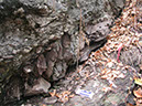 P1010005