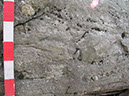 P1010037