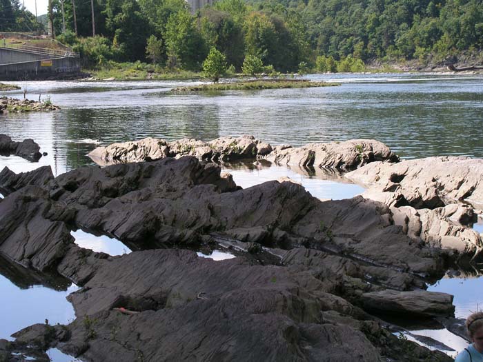 P1010009