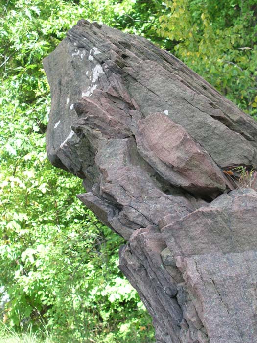 P1010010