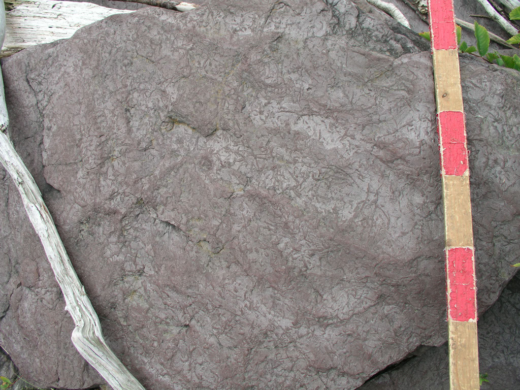 P1010003
