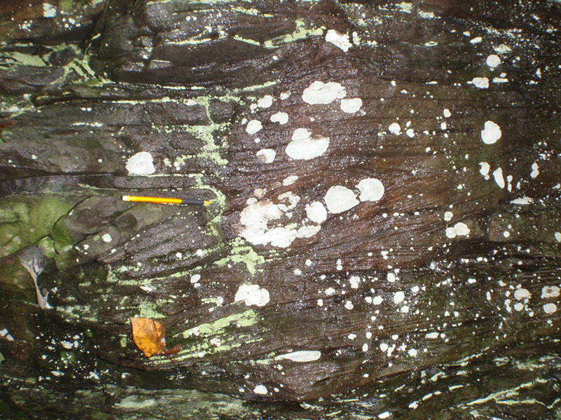 PA040023