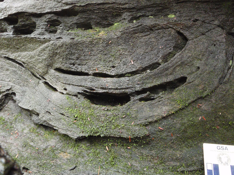 PA040028