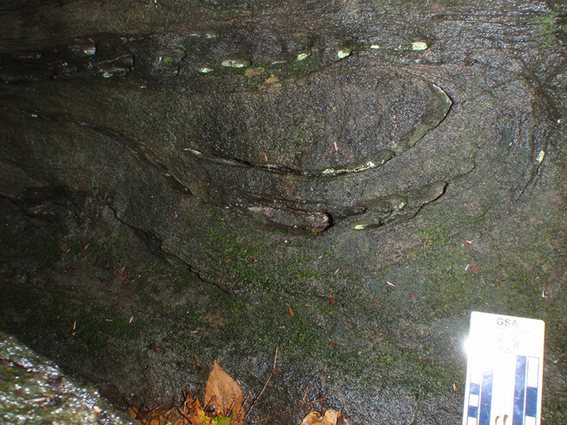 PA040026