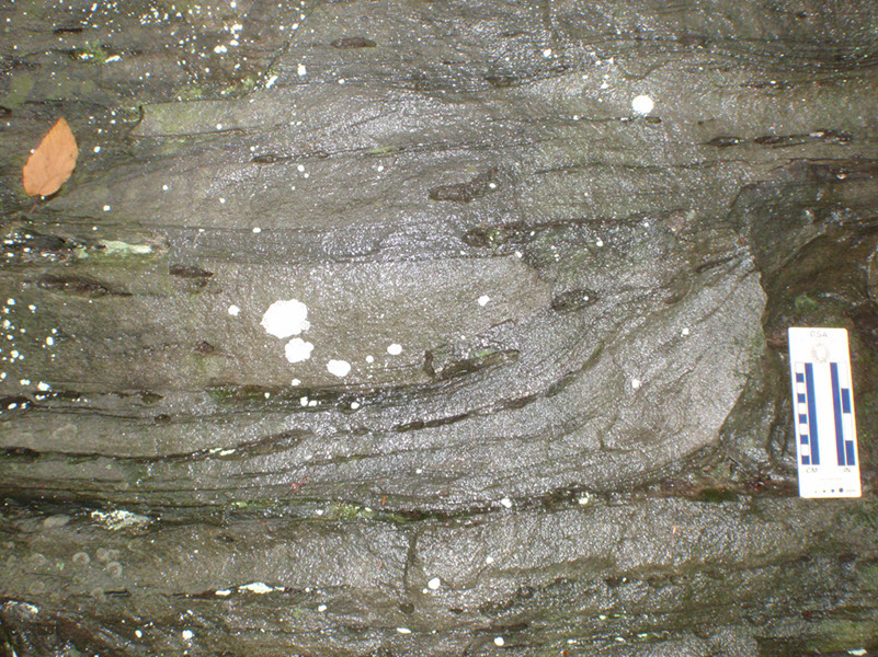 PA040014