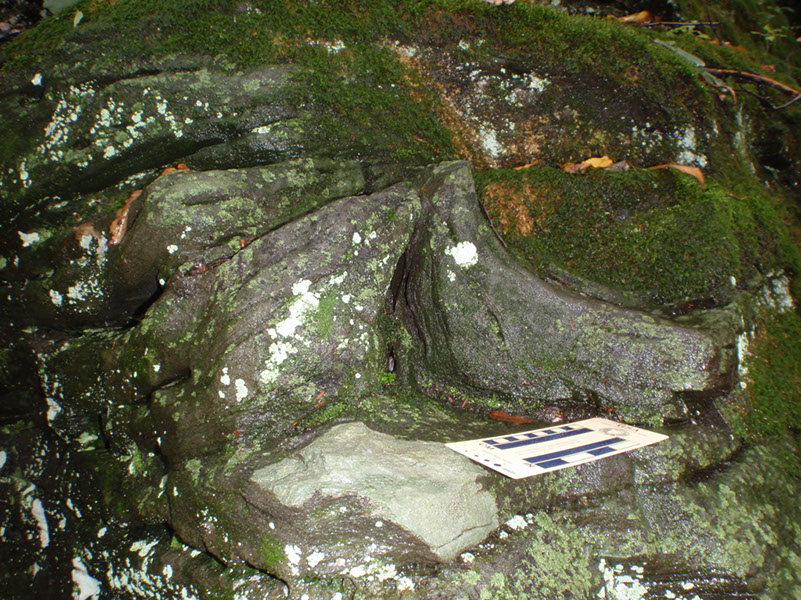 PA040013