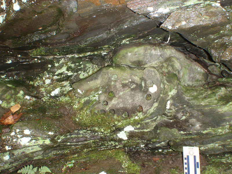 PA040016