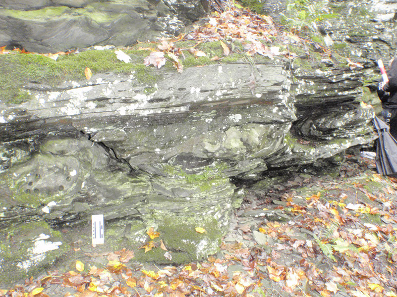 PA040019