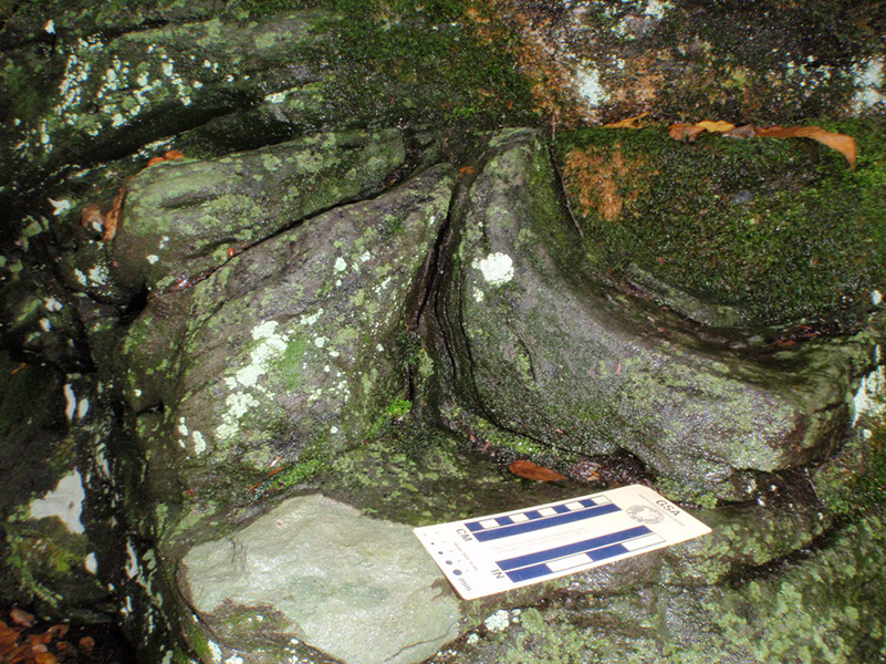 PA040012