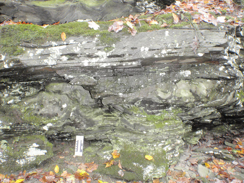 PA040017