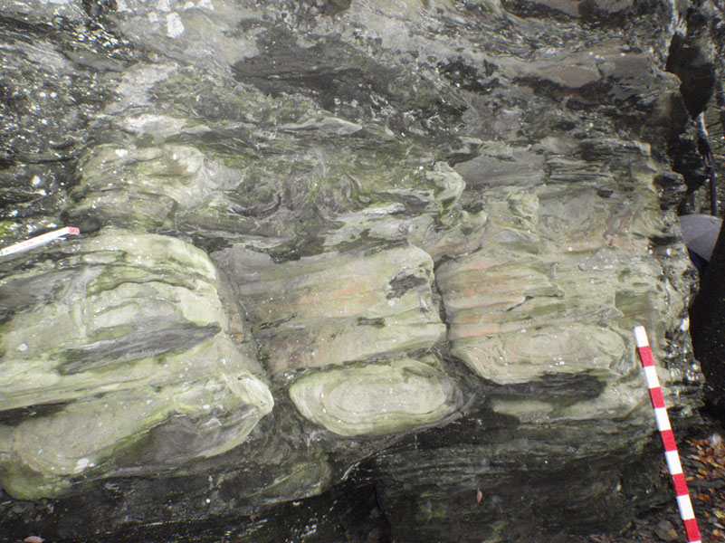 PA040032