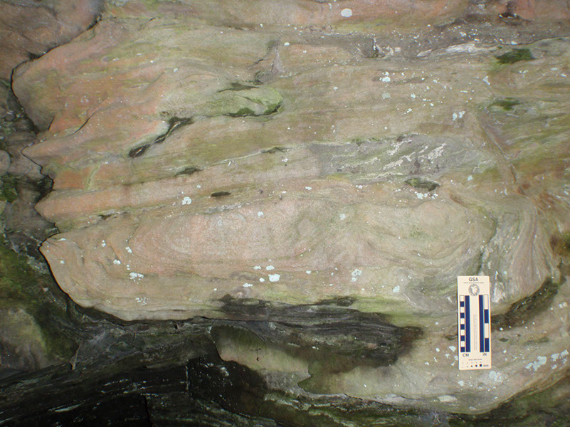 PA040009